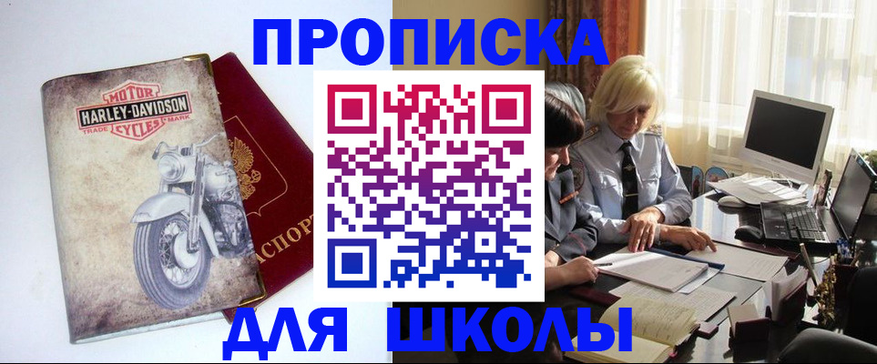 прописка штамп в Лузе